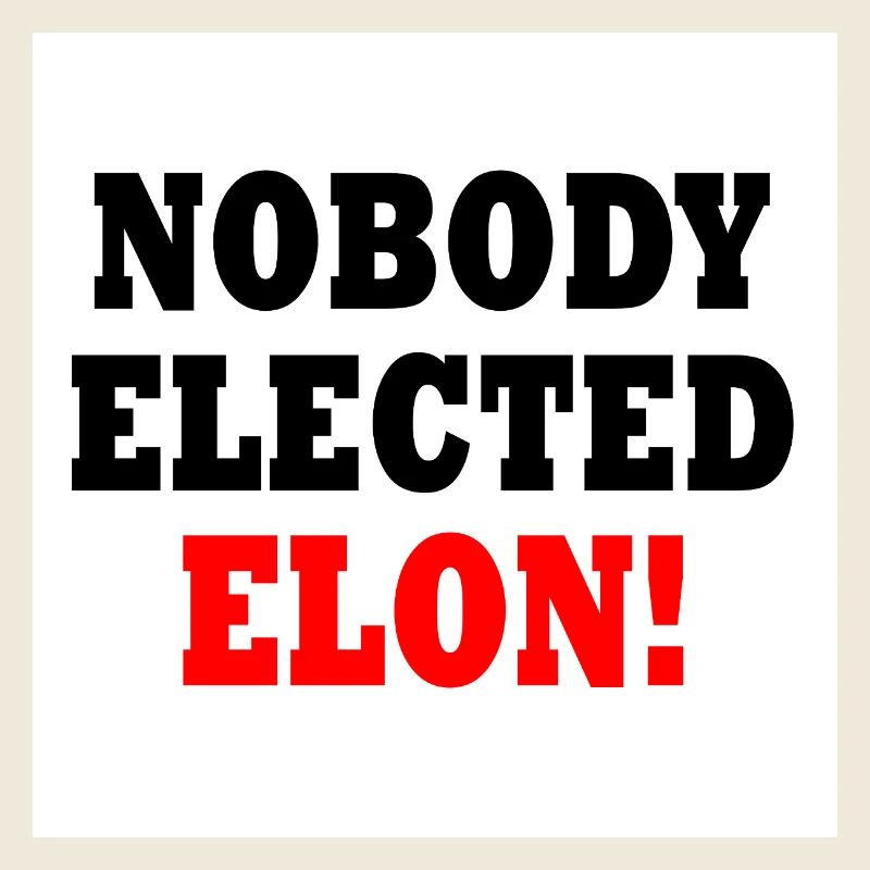 nobody elected elon