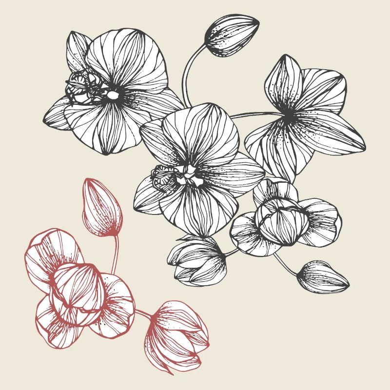 Vrille de fleur