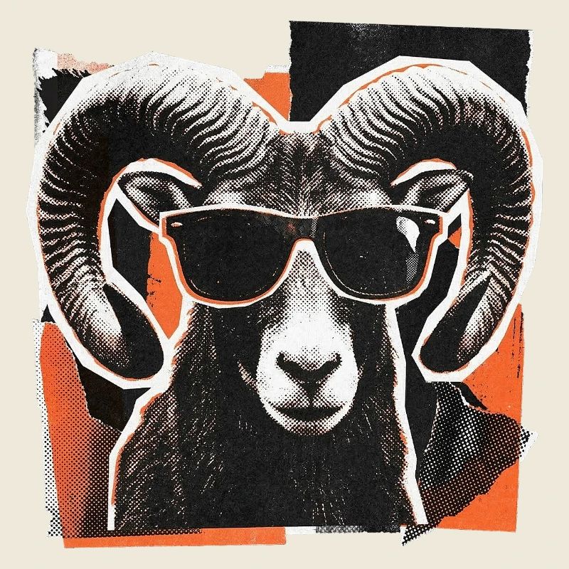 Lunettes de soleil mouflon vintage