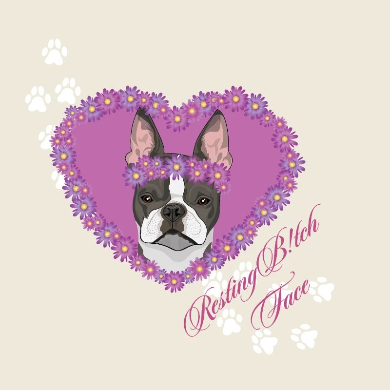 Boston Terrier à visage de b !tch au repos