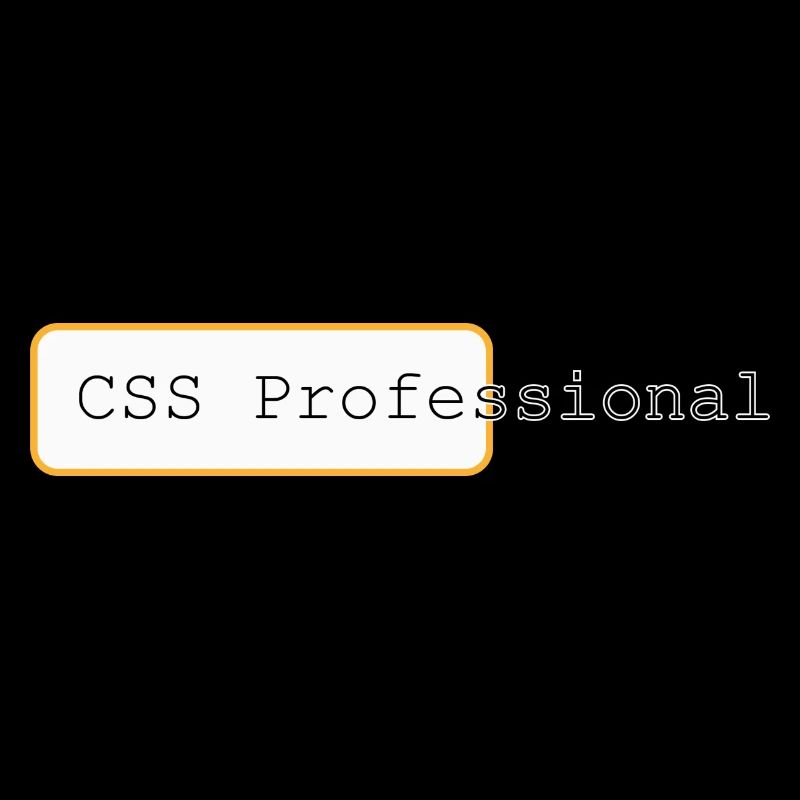 CSS Professional - Maître des mises en page Web