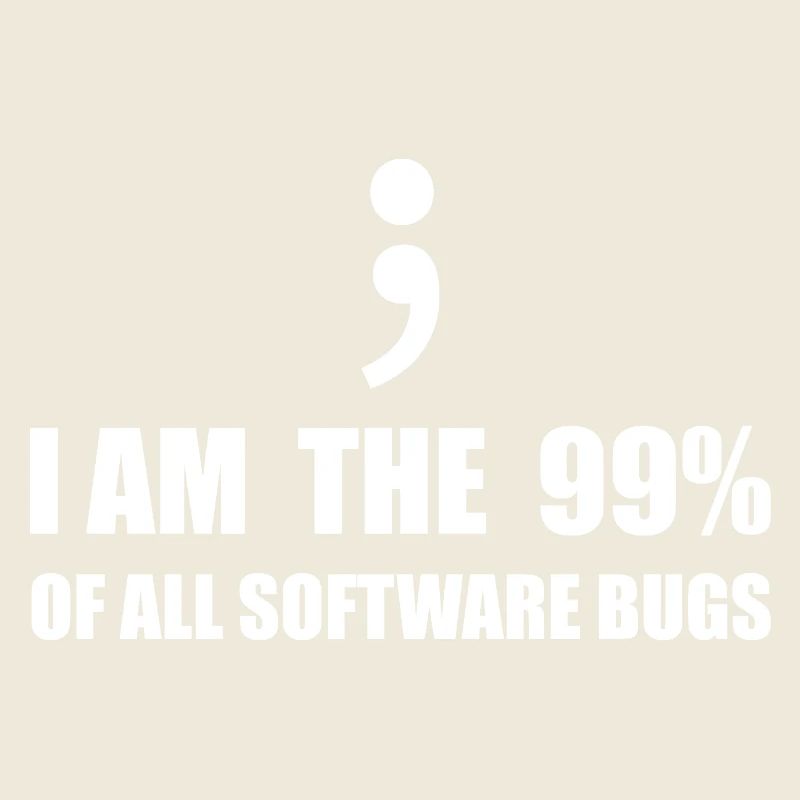 Programmeur Computer Scientist