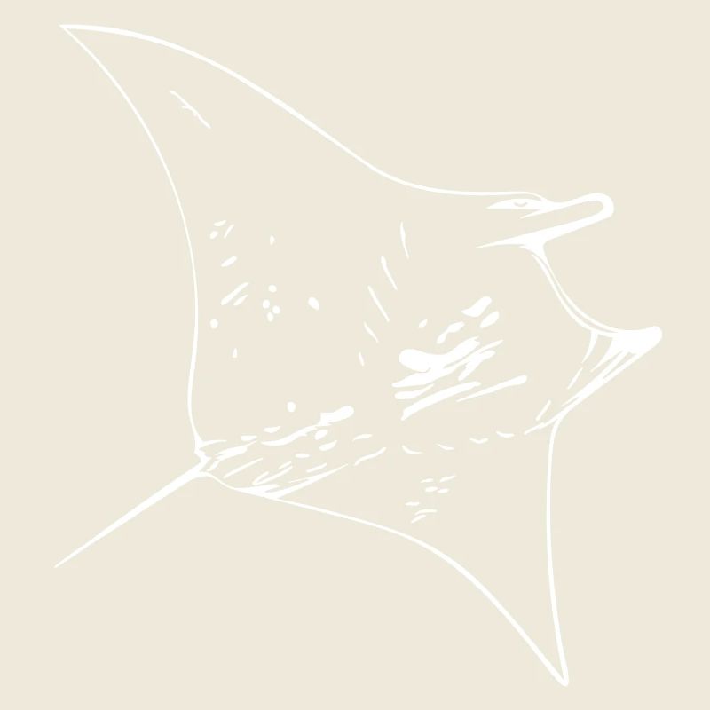 Manta Ray
