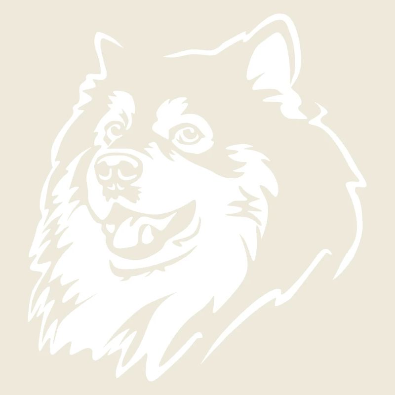 Finnischer Lapphund Kopf "Black Edition"