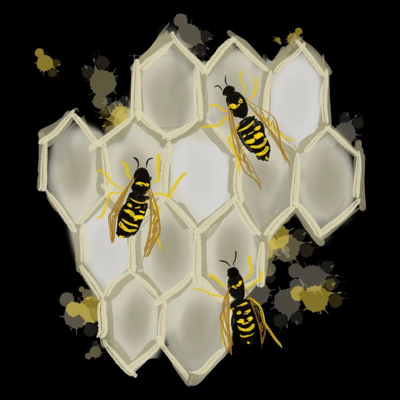 Wasps
