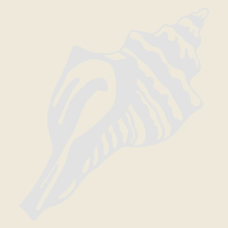 Seashells
