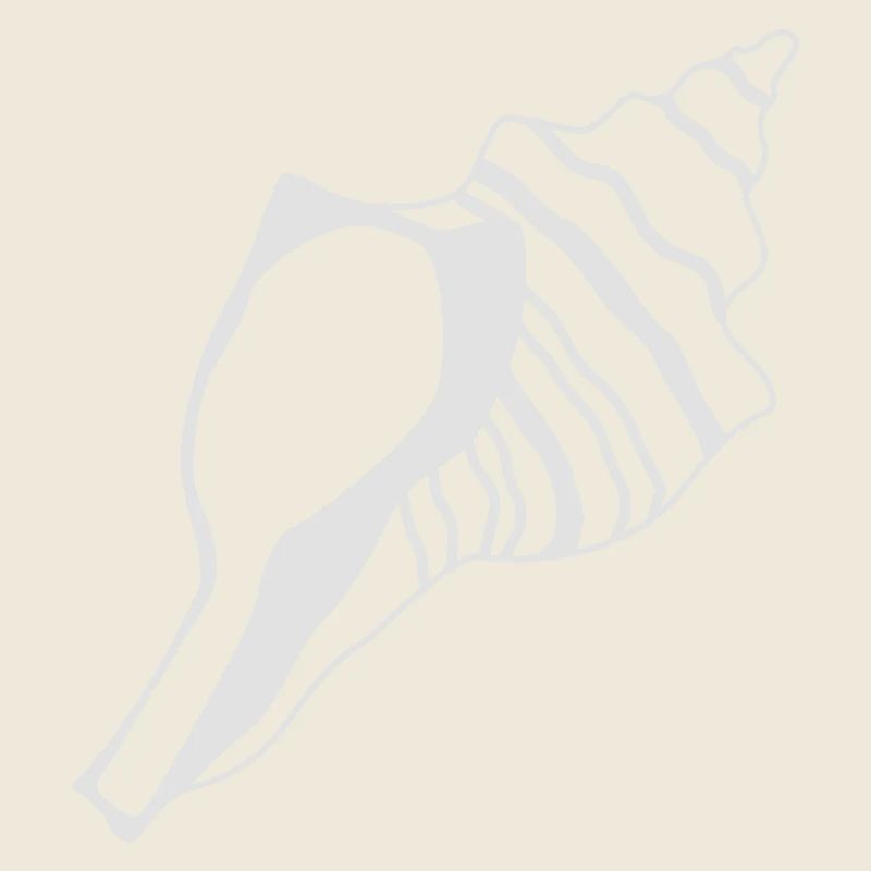 Muscheln