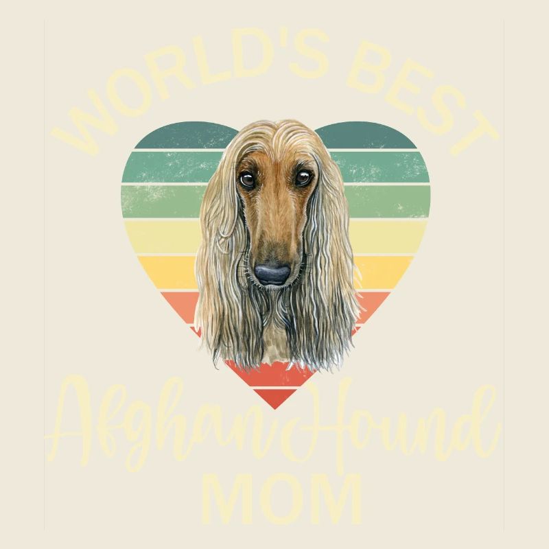 Afghanischer Windhund Afghane