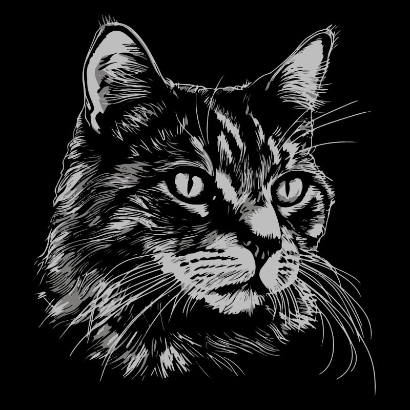 Chat