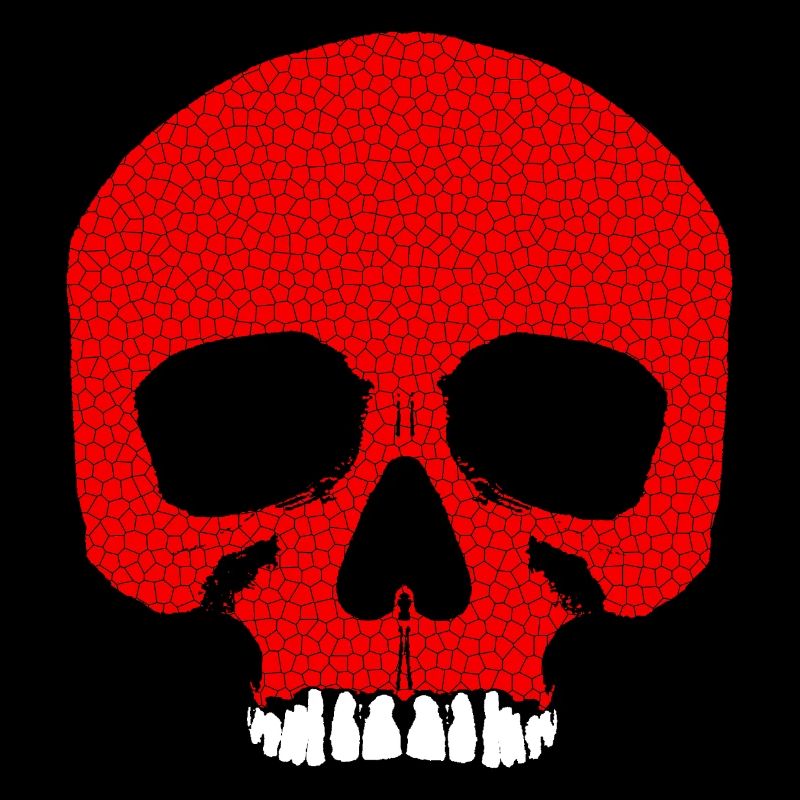 Red Skull with Crack Pattern / Skull