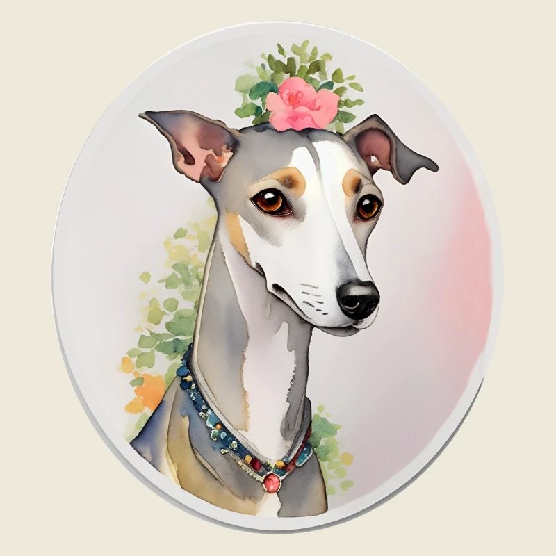 Whippet