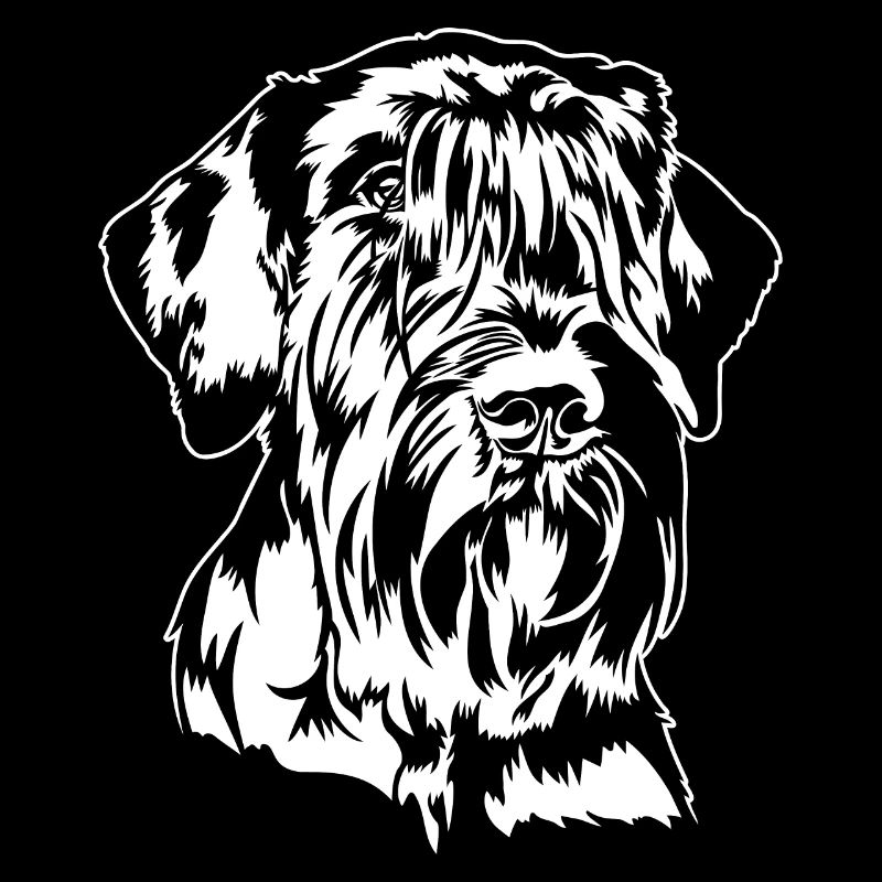 Schnauzer géant Portrait chien chiens IGP Wilsigns