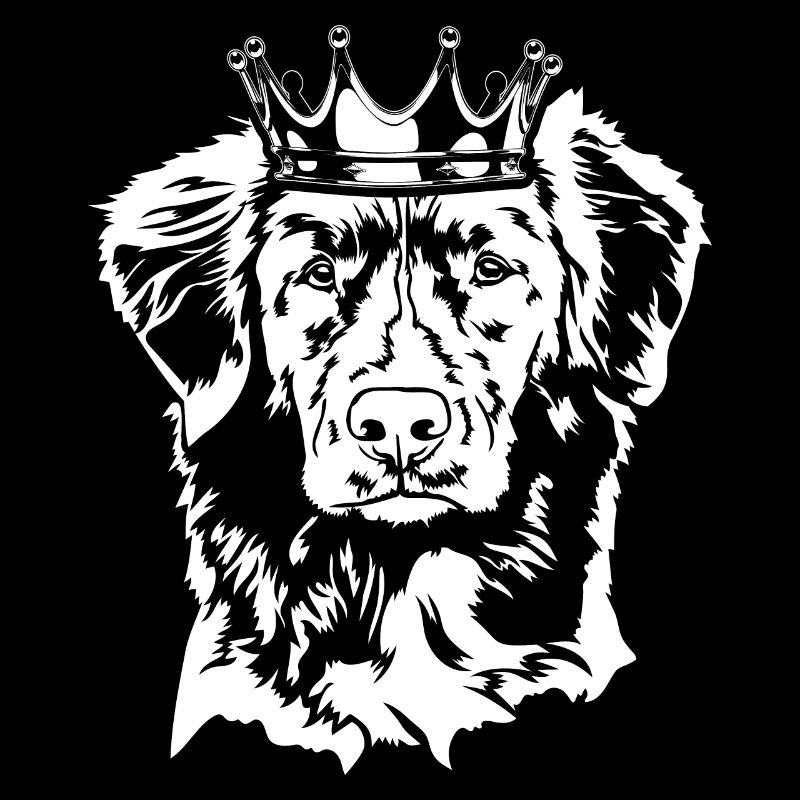 Retriever à péage de canard de la Nouvelle-Écosse Krone Wilsigns