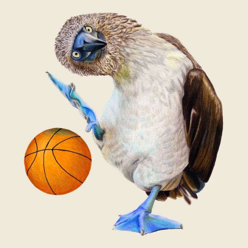Blaufußtölpel Basketball