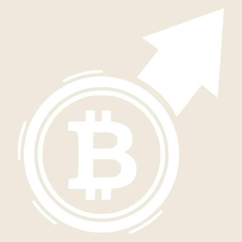 Bitcoin Bull Run Pfeil Kursanstieg