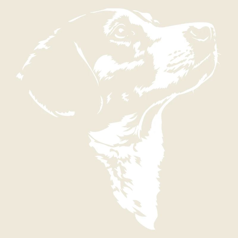 Chien Silhouette Drever Chien Wilsigns