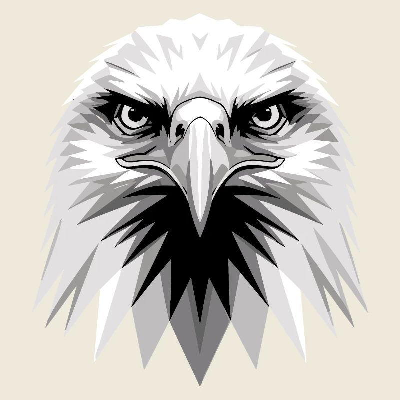 Aigle Pygargue à tête blanche Aigle royal Pygargue à queue blanche