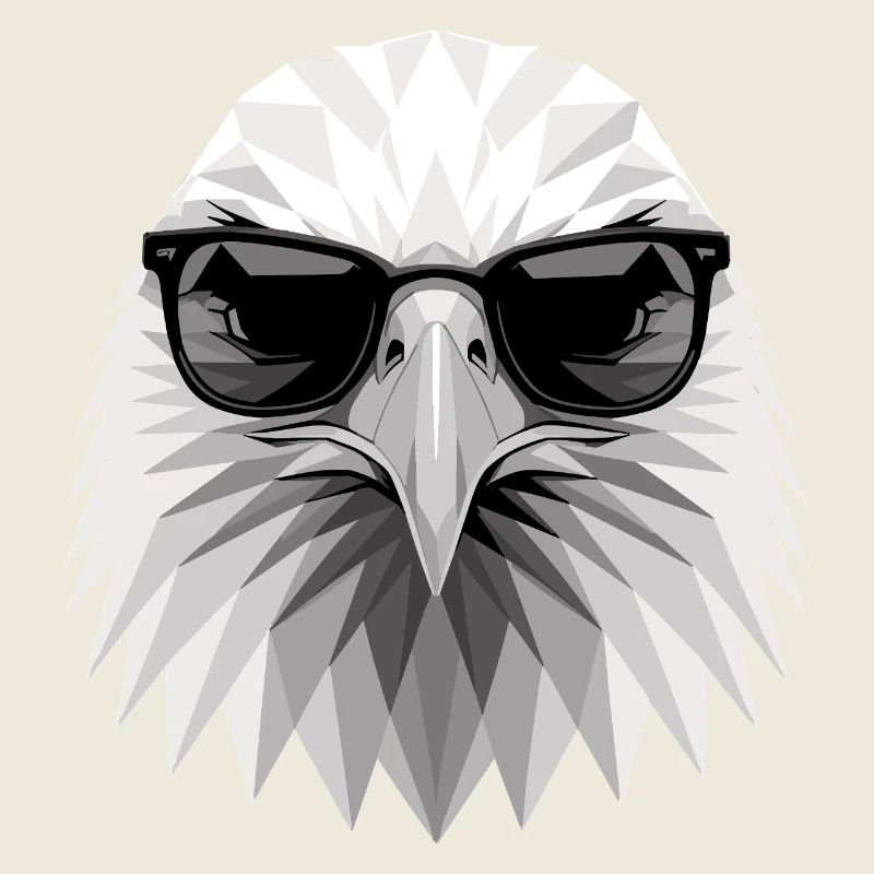 Aigle Pygargue à tête blanche Aigle royal Pygargue à queue blanche