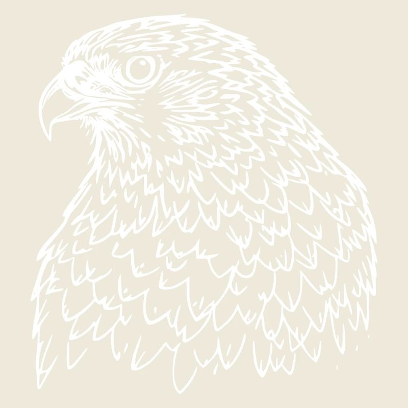 Falcon Head