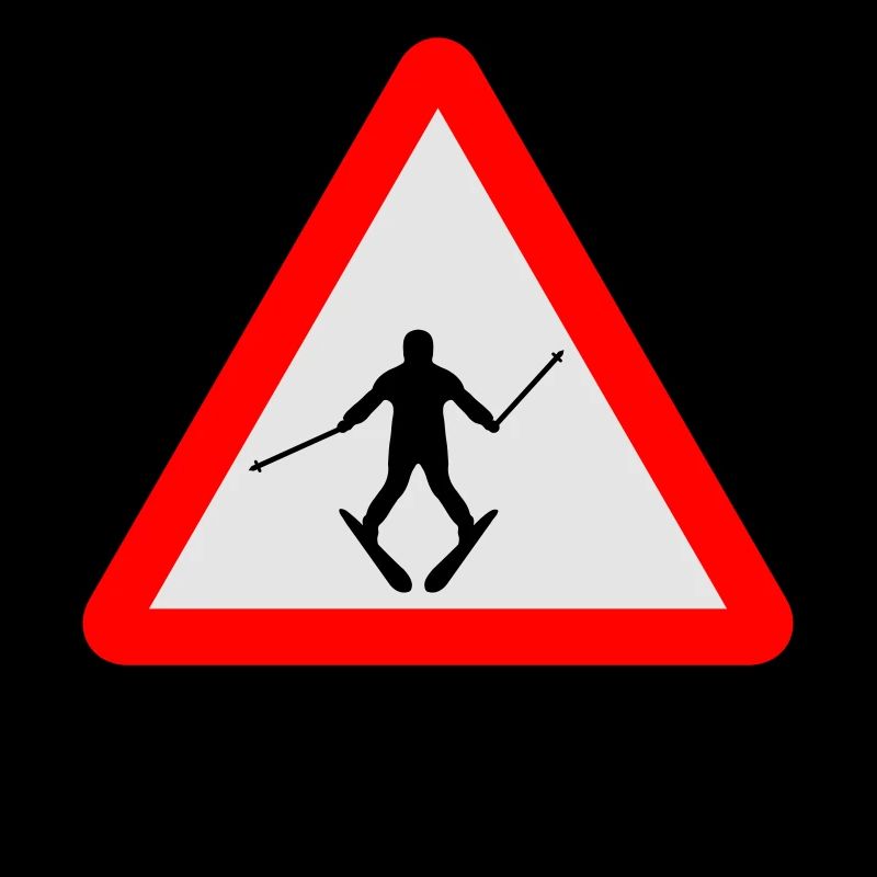 Ski Learner