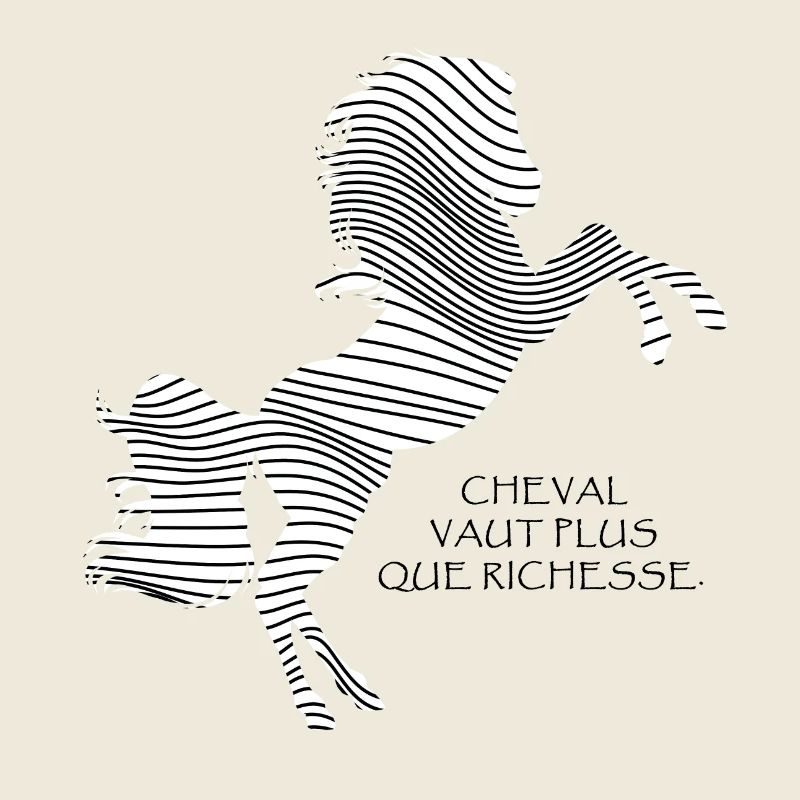 Schwarzes und weißes Pferd