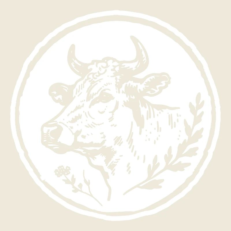 Kuh Kühe