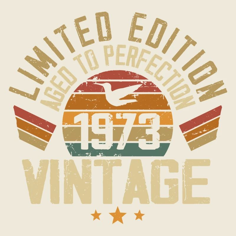 Vintage 1973 Cadeau d’anniversaire 1973 Rétro