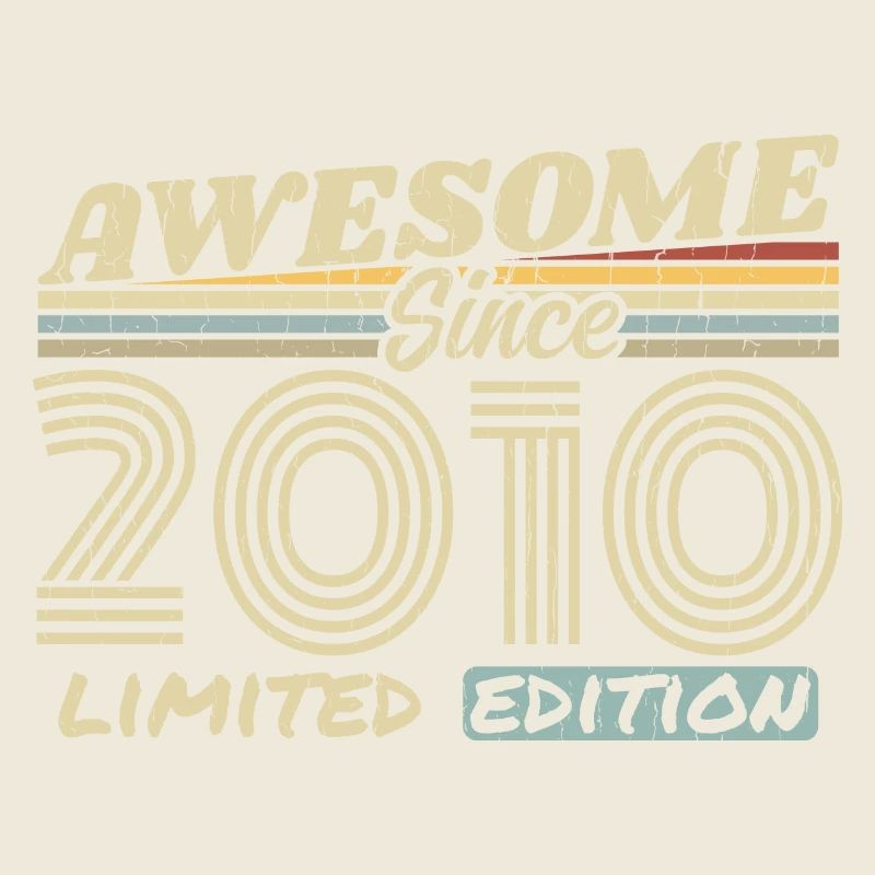 Vintage 2010 Retro - 2010 Geburtstagsgeschenk