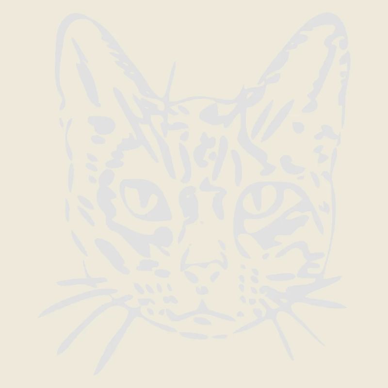 Chat, minou, minou, cadeau, idée cadeau