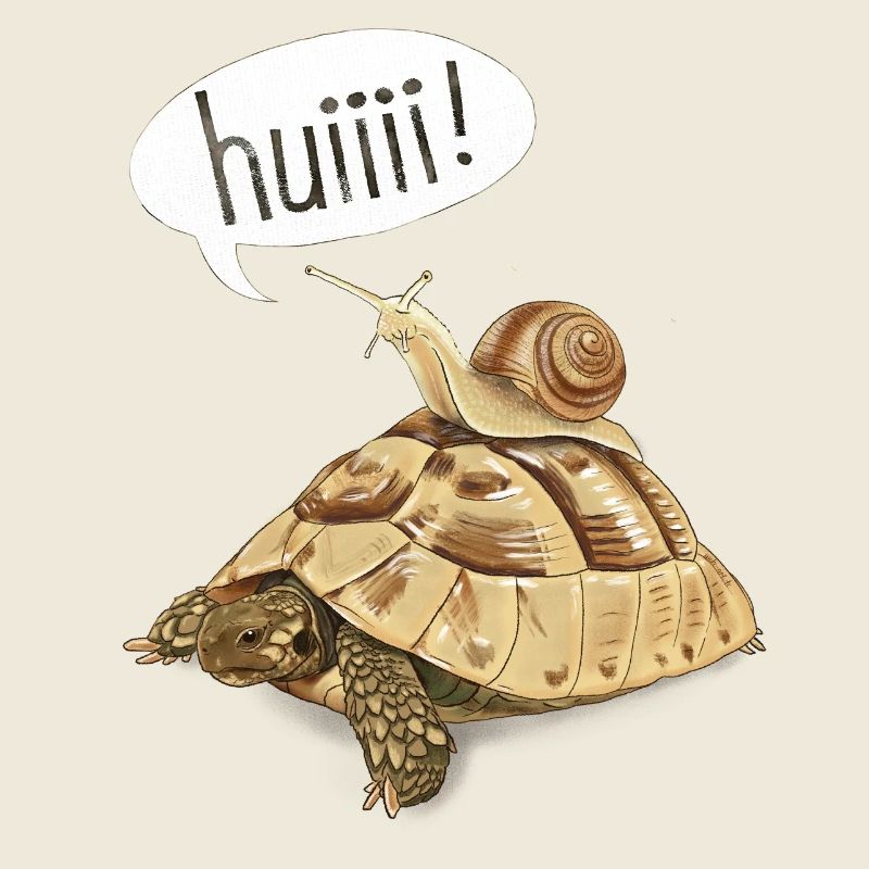 Escargot dans la course de vitesse - tortue