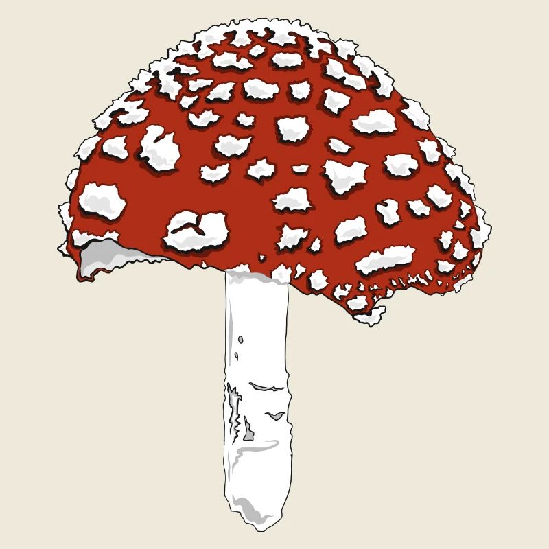 Champignon champignon amanite