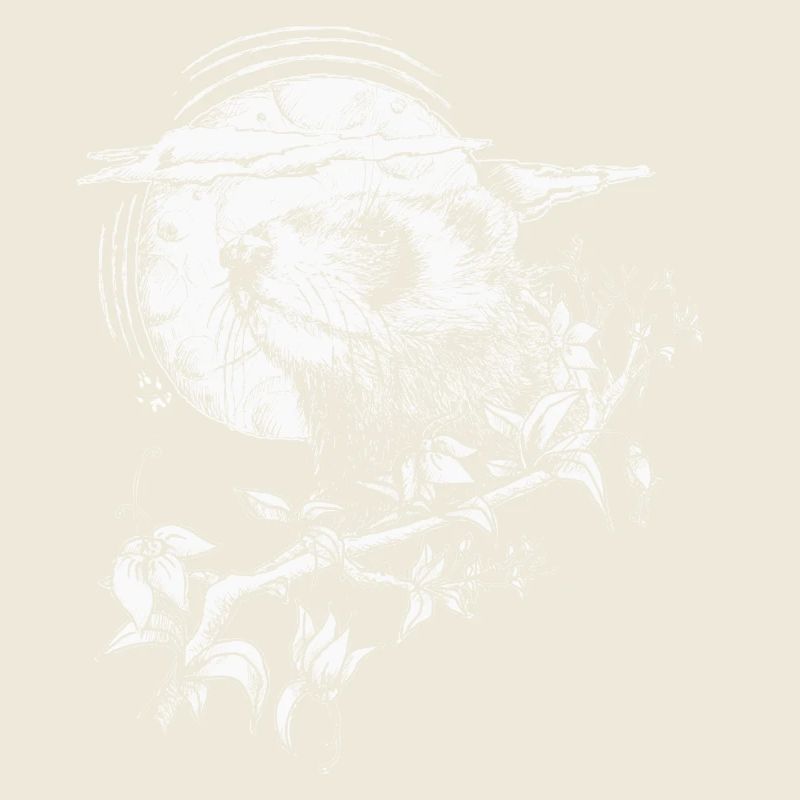 Furet sur le fond de la lune