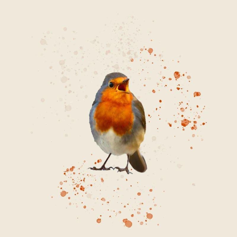 mignon gazouillis rouge-gorge Robin