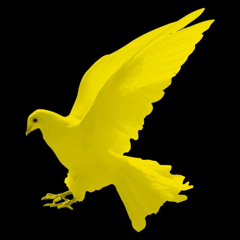 sticker for auto rear window