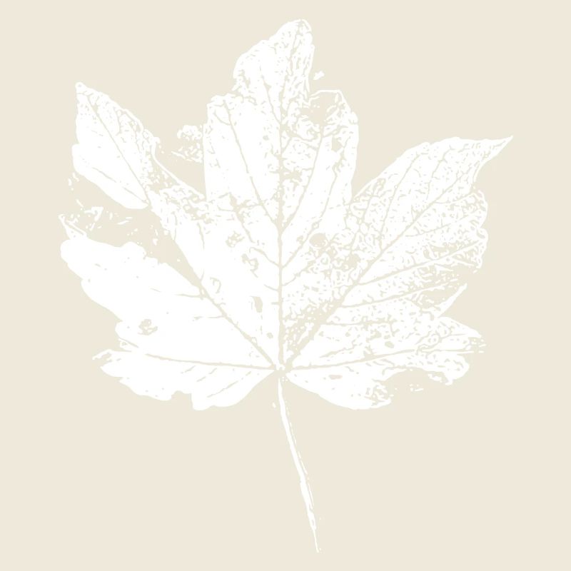Leaf Autumn Leaf Foliage Autumn