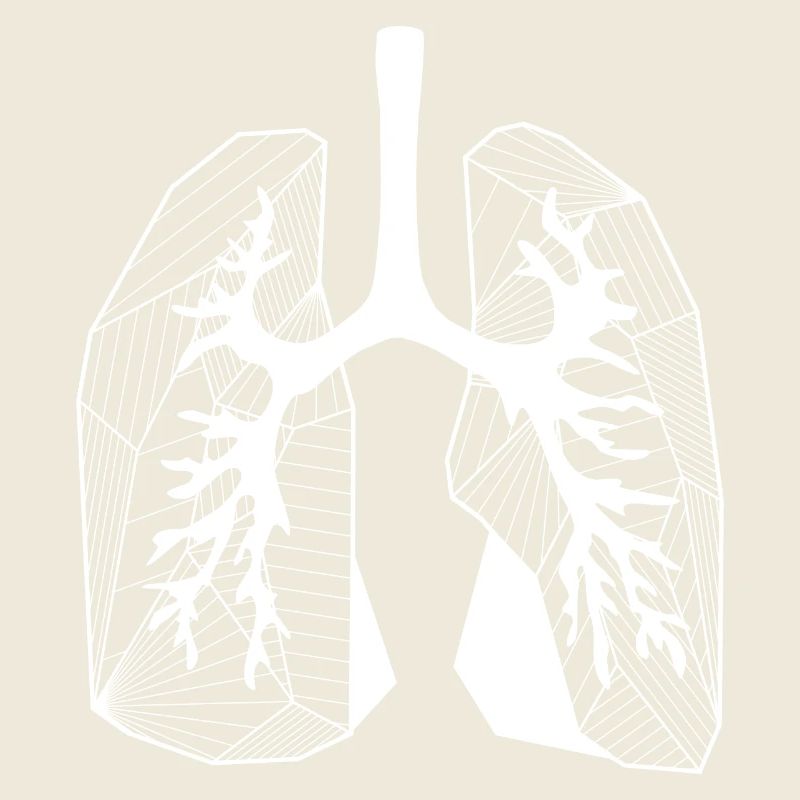 Lungs