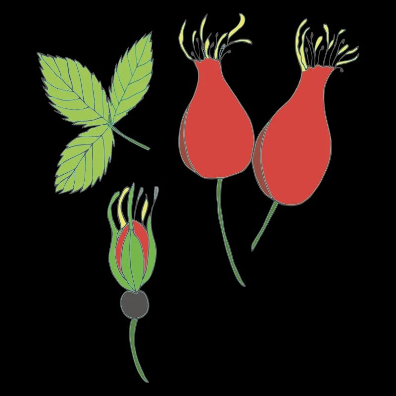 rose hip