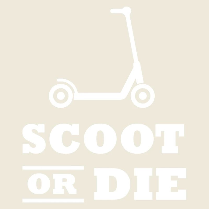 E-Scooter E-Roller Scooter