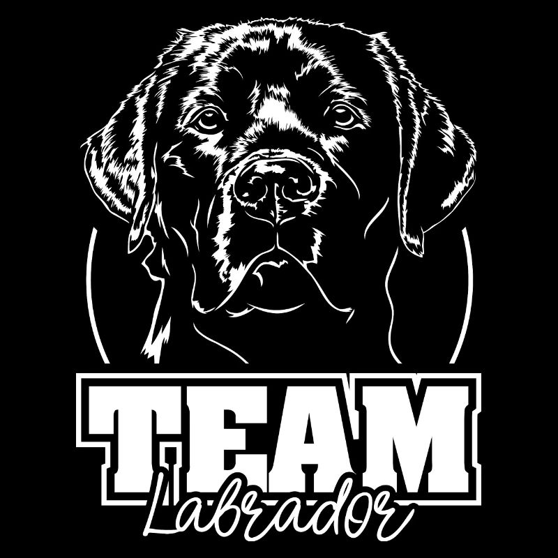 Équipe Labrador Retriever Labbi Chien Chien Wilsigns