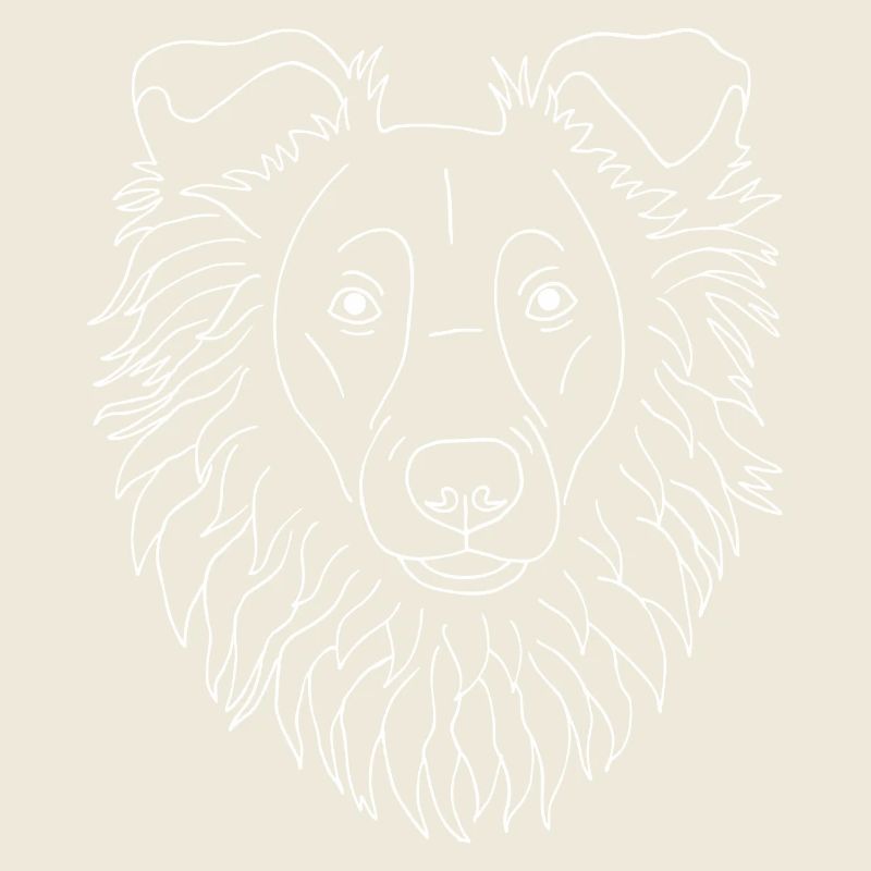 Collie