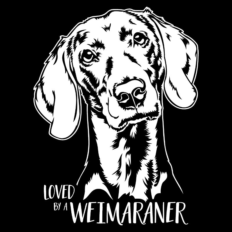 Aimé par un chien de braque de Weimar disant chien Wilsigns