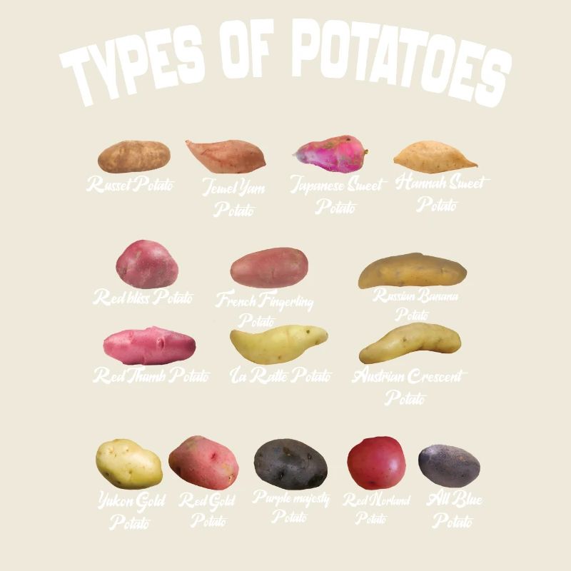 types of Potatoes