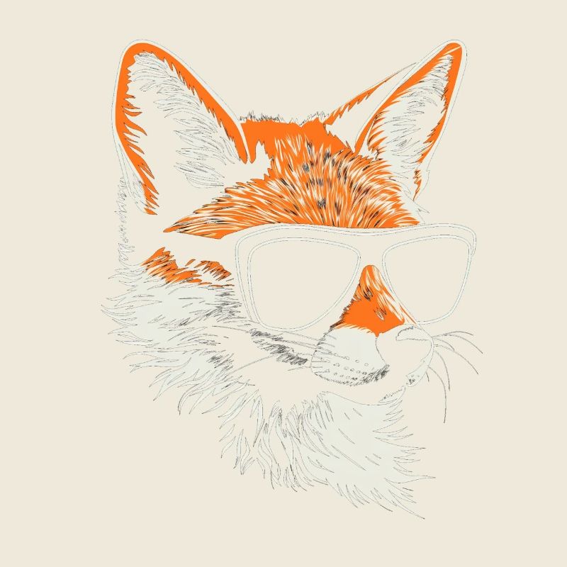 Lunettes de soleil Fox Funny