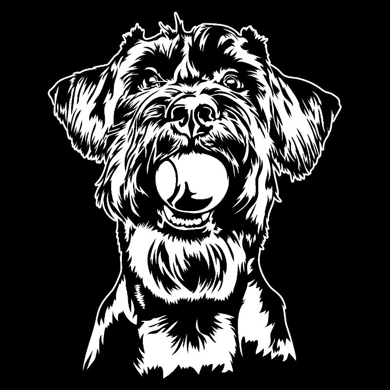 Schnauzer géant Schnauzer chien chien Wilsigns