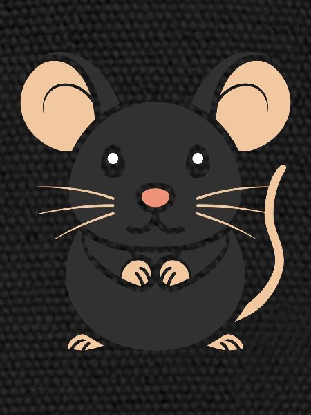 Rat