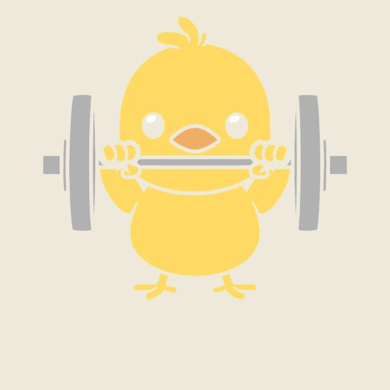 musculation