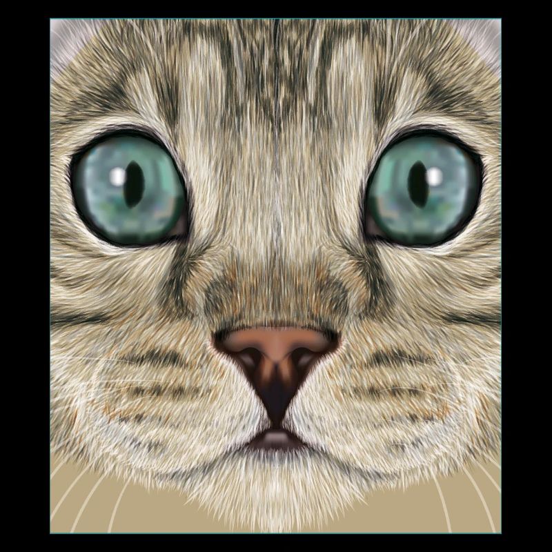 Chat léopard