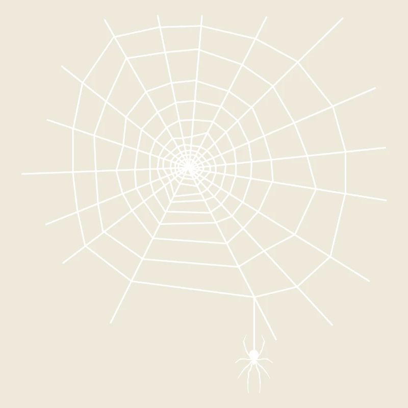 Spinnennetz Spinne