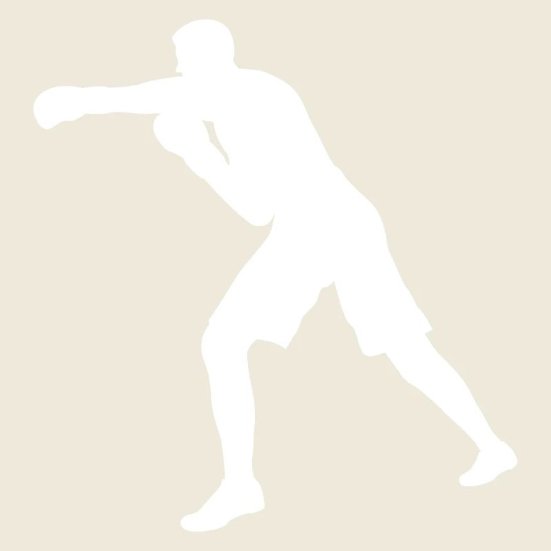 Boxer punch in white