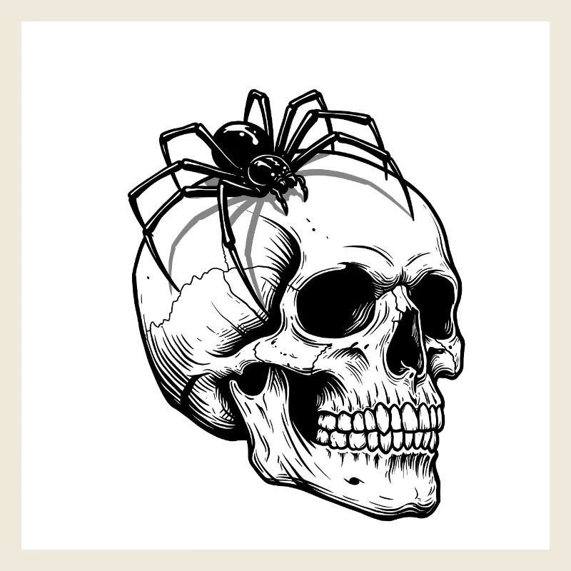 Skull & Spider - When Death Crawls
